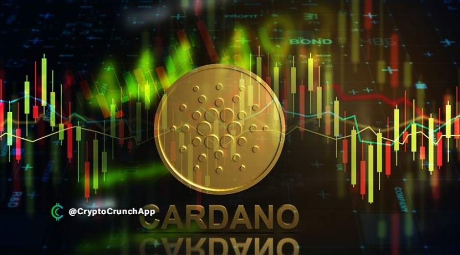 با-رشد-اکوسیستم-ada،-بیش-از-500-پروژه-اکنون-بر-اساس-کاردانو-ساخته-شد- 